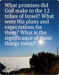 12 Tribes of Israel - What promises did God make to the 12 tribes of Israel? What were His plans and expectations for them? What is the significance of these things today?