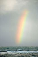 Rainbow All Things Work Together for Good